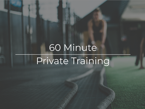 60 minute Training Session